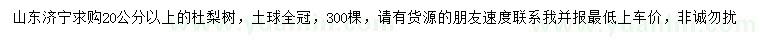 求購20公分以上杜梨樹