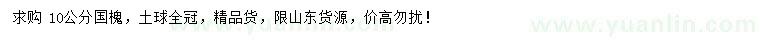 求購10公分國槐