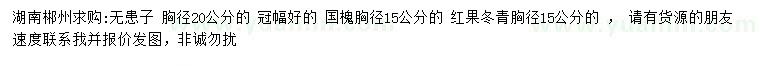 求購(gòu)無(wú)患子、國(guó)槐、紅果冬青