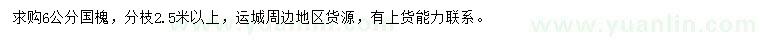 求購(gòu)6公分國(guó)槐