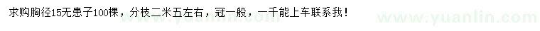 求購(gòu)胸徑15公分無(wú)患子