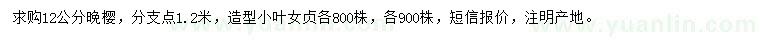 求購12公分晚櫻、造型小葉女貞