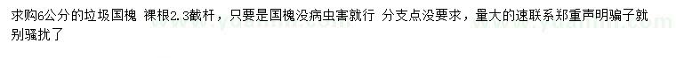 求購6公分國槐