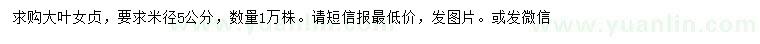 求購米徑5公分大葉女貞