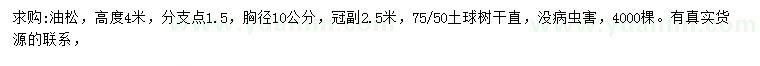 求購高4米油松