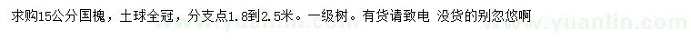求購15公分國槐