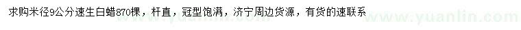 求購米徑9公分速生白蠟