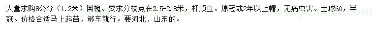 求購1.2米量8公分國槐