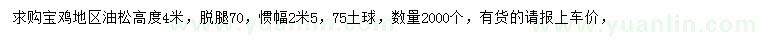 求購(gòu)高4米油松