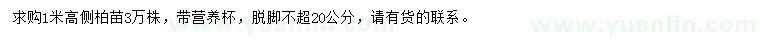 求購(gòu)高1米側(cè)柏