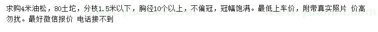 求購4米油松