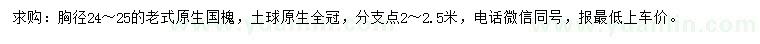 求購胸徑24-25老式原生國槐
