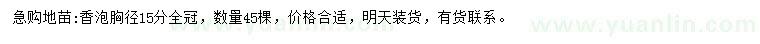 求購(gòu)胸徑15公分香泡