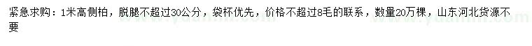 求購(gòu)高1米側(cè)柏