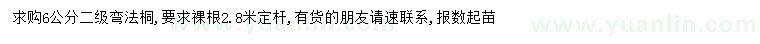 求購6公分法桐