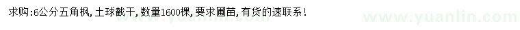 求購6公分五角楓