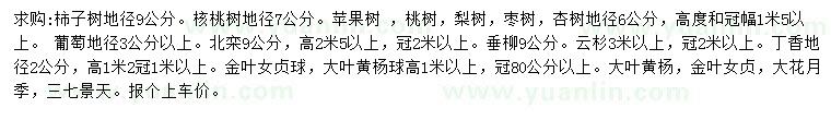 求購柿子樹、核桃樹、蘋果樹等