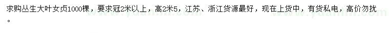 求購(gòu)冠2米以上叢生大葉女貞