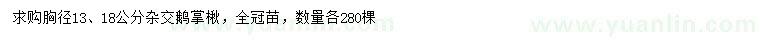 求購胸徑13、18公分雜交鵝掌楸