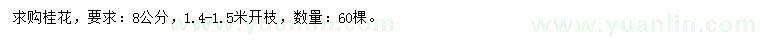 求購8公分桂花