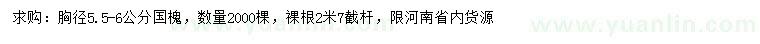 求購胸徑5.5-6公分國槐