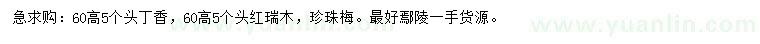 求購丁香、紅瑞木、珍珠梅