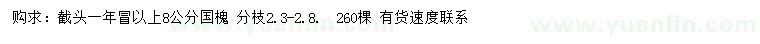 求購(gòu)8公分國(guó)槐