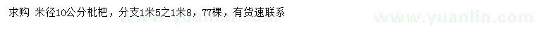 求購(gòu)米徑10公分枇杷
