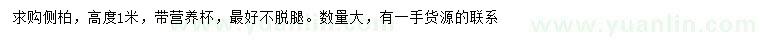 求購高1米側(cè)柏