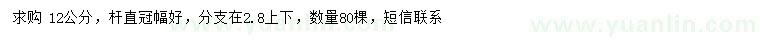 求購12公分烏桕