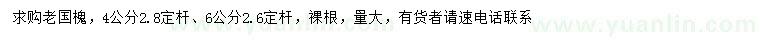 求購4、6公分老國槐
