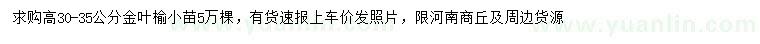 求購高30-35公分金葉榆