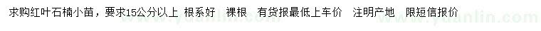 求購15公分以上紅葉石楠