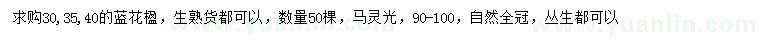 求購(gòu)30、35、40公分藍(lán)花楹、90-100公分馬靈光