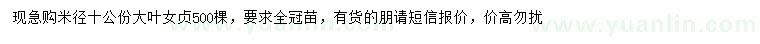 求購(gòu)米徑10公分大葉女貞