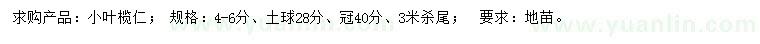 求購(gòu)4-6公分小葉欖仁