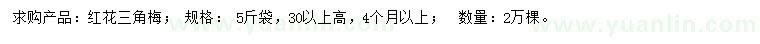 求購(gòu)高30公分以上紅花三角梅