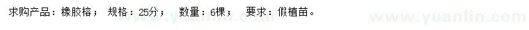 求購25公分橡膠榕