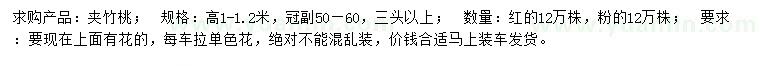 求購高1-1.2米夾竹桃