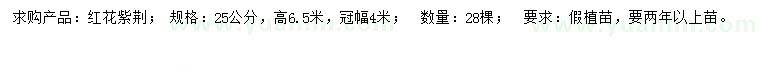 求購25公分紅花紫荊