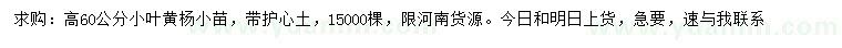 求購高60公分小葉黃楊小苗