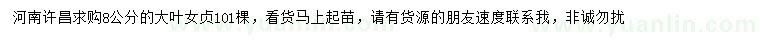 求購8公分大葉女貞