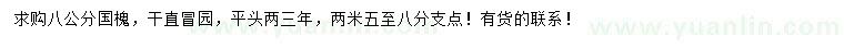 求購8公分國槐