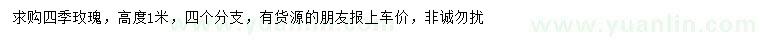 求購高1米四季玫瑰