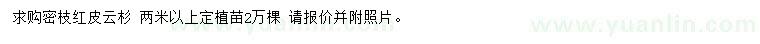 求購2米以上紅皮云杉