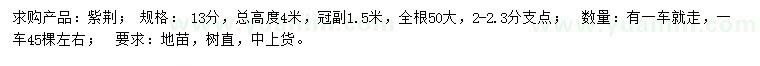 求購13公分紫荊