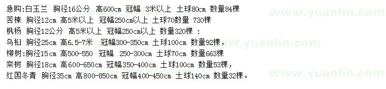 求購白玉蘭、苦楝、楓楊等