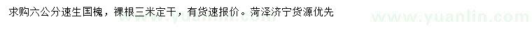 求購(gòu)6公分速生國(guó)槐