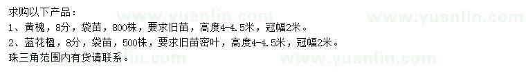 求購8公分黃槐、藍(lán)花楹