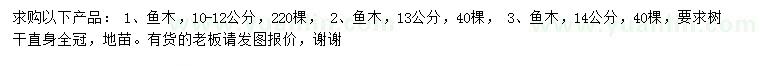 求購10-12、13、14公分魚木
